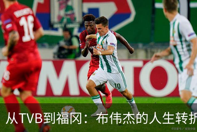 从TVB到福冈：布伟杰的人生转折与新冒险